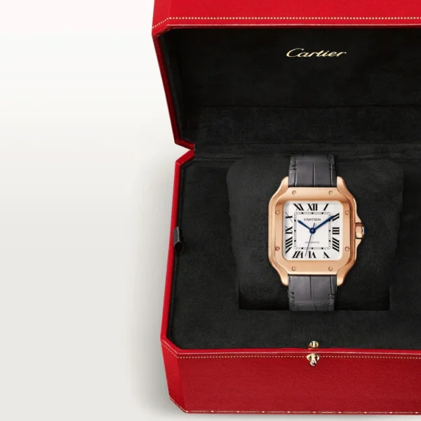 SANTOS DE CARTIER WATCH -WGSA0028 - Image 3