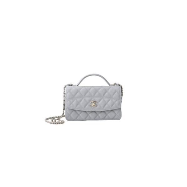 CHANEL Chain Clutch